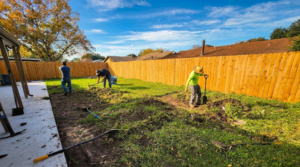 Hedge & Tree Trimming